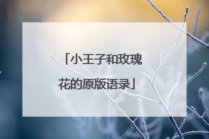 小王子和玫瑰花的原版语录