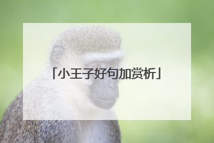 小王子好句加赏析