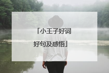 小王子好词好句及感悟