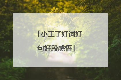 小王子好词好句好段感悟