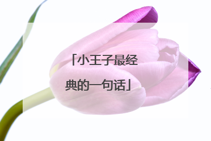 小王子最经典的一句话