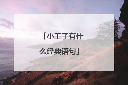 小王子有什么经典语句