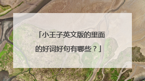 小王子英文版的里面的好词好句有哪些？