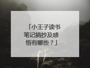小王子读书笔记摘抄及感悟有哪些?