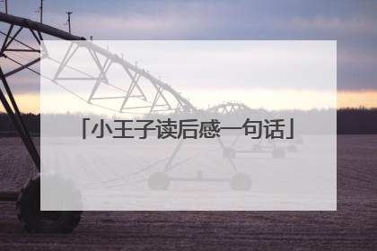 小王子读后感一句话