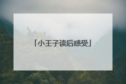 小王子读后感受