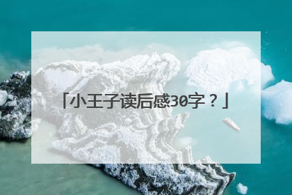 小王子读后感30字？