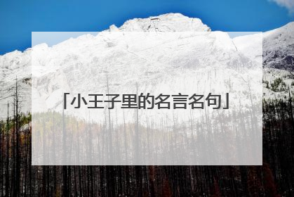 小王子里的名言名句