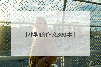 小狗的作文300字