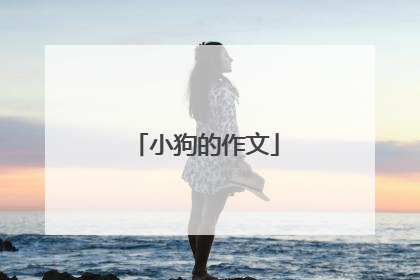 小狗的作文
