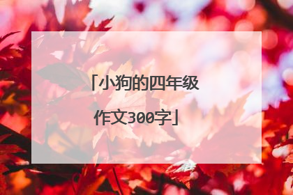 小狗的四年级作文300字