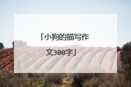 小狗的描写作文300字