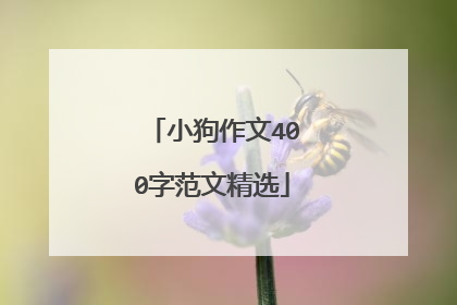 小狗作文400字范文精选