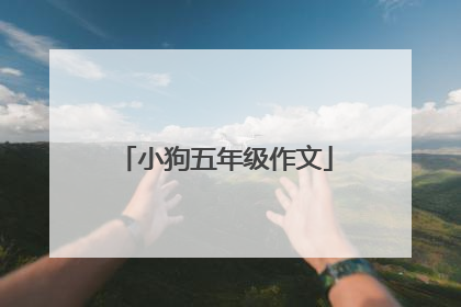 小狗五年级作文