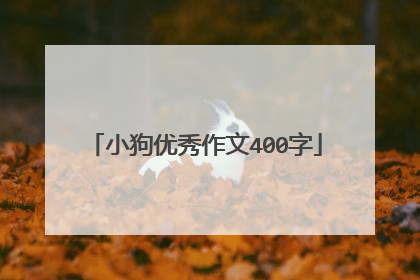 小狗优秀作文400字