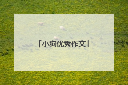 小狗优秀作文