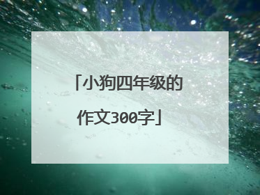 小狗四年级的作文300字