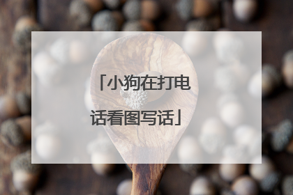小狗在打电话看图写话