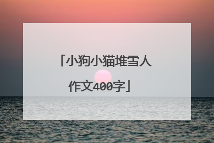 小狗小猫堆雪人作文400字