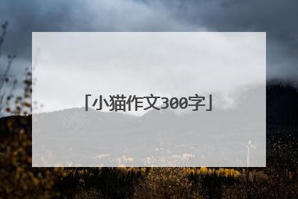 小猫作文300字