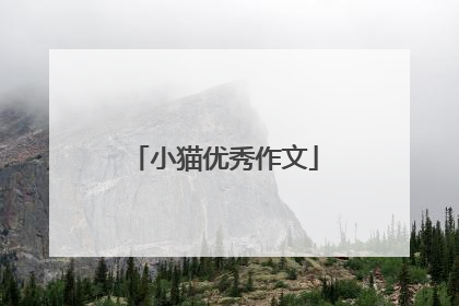 小猫优秀作文