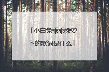 小白兔乖乖拨萝卜的歌词是什么