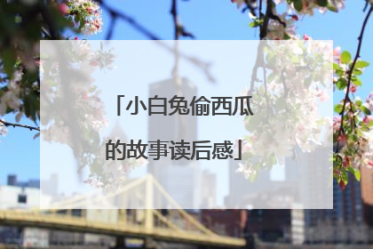 小白兔偷西瓜的故事读后感