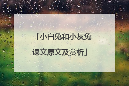 小白兔和小灰兔课文原文及赏析