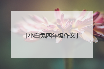 小白兔四年级作文