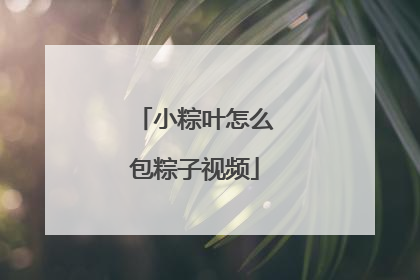 小粽叶怎么包粽子视频