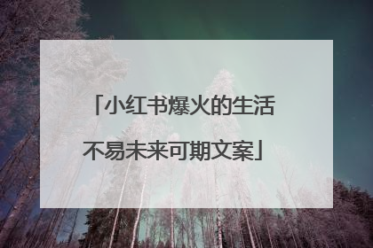 小红书爆火的生活不易未来可期文案
