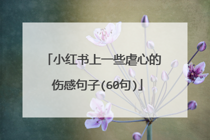 小红书上一些虐心的伤感句子(60句)
