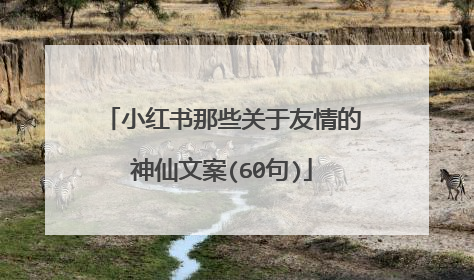 小红书那些关于友情的神仙文案(60句)