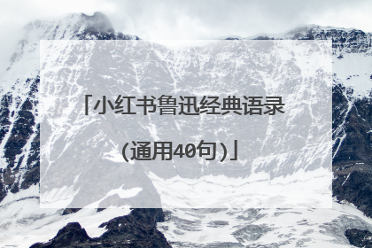 小红书鲁迅经典语录 (通用40句)