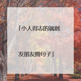 小人得志的讽刺发朋友圈句子