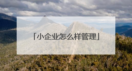 小企业怎么样管理