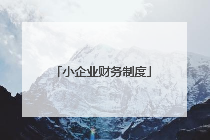 小企业财务制度