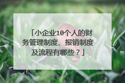 小企业10个人的财务管理制度、报销制度及流程有哪些?