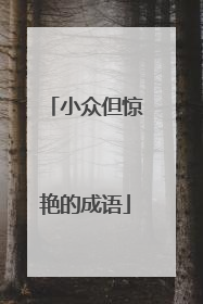 小众但惊艳的成语