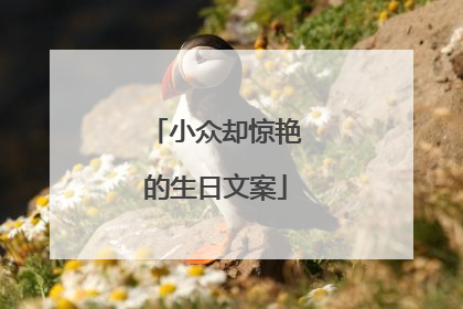 小众却惊艳的生日文案