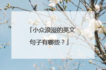 小众浪漫的英文句子有哪些?