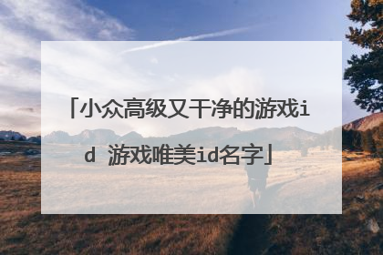 小众高级又干净的游戏id 游戏唯美id名字