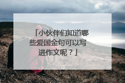小伙伴们知道哪些爱国金句可以写进作文呢?
