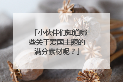 小伙伴们知道哪些关于爱国主题的满分素材呢?