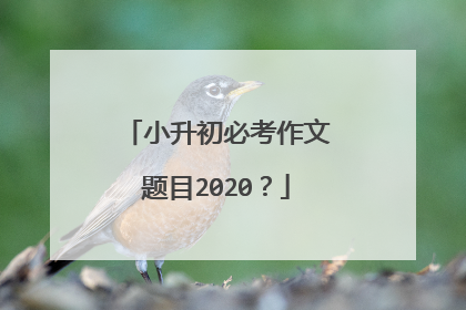 小升初必考作文题目2020？