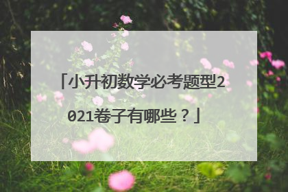 小升初数学必考题型2021卷子有哪些？