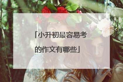 小升初最容易考的作文有哪些
