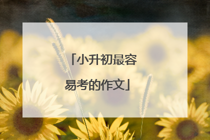 小升初最容易考的作文