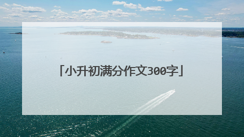 小升初满分作文300字