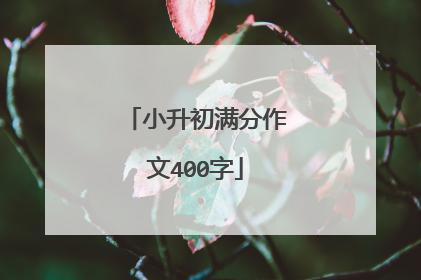 小升初满分作文400字